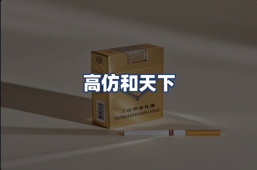 高仿和天下